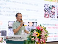 刘伟：羊肚菌交配型基因与菌种技术 ()