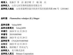 2023年第四批授予植物新品种权公告，含香菇、金针菇、平菇的6个品种