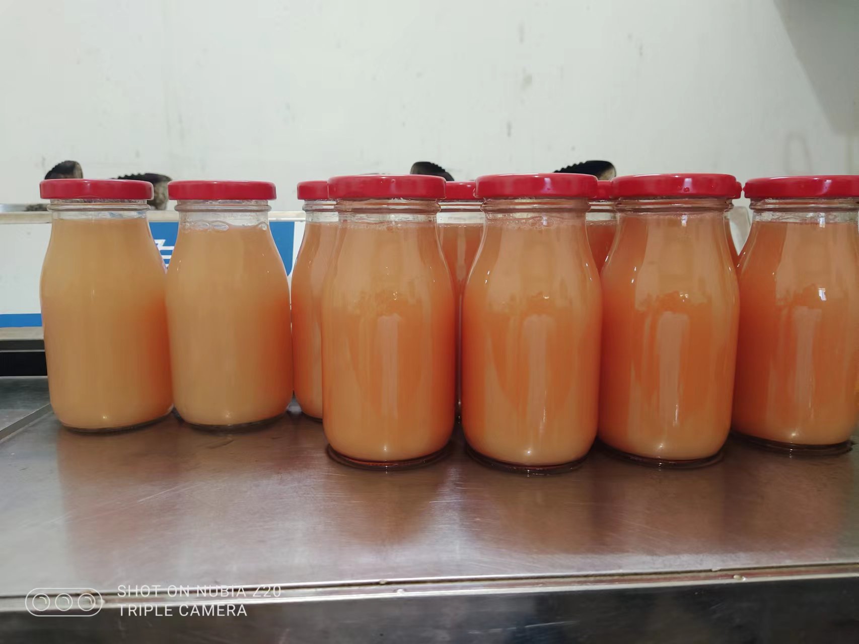 食用菌深加工技术图2