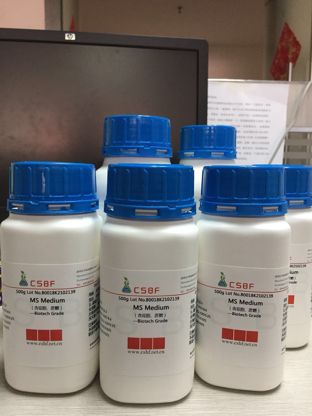 MS培养基图1