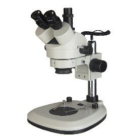 倍体视显微镜图1