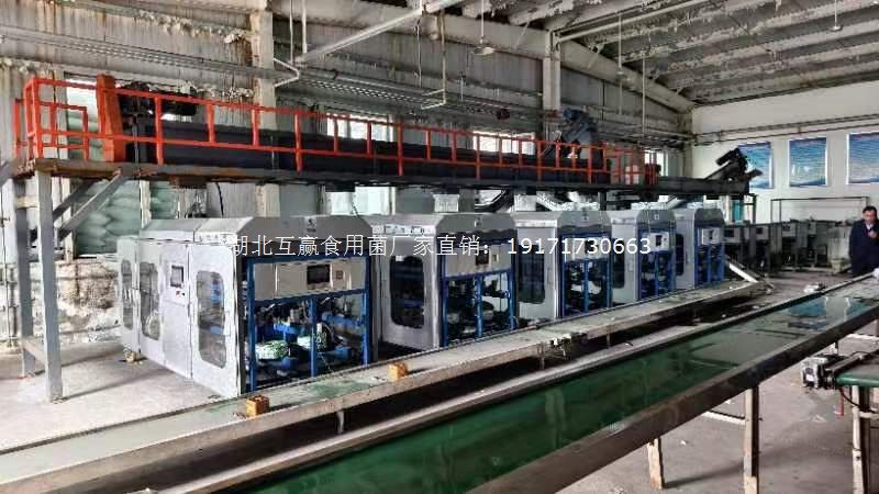 食用菌菌棒生产线图5