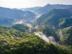 南亚热带雨林藏着多少菌物密码?2025 年全国菌物多样性及系统学