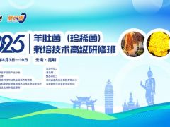 2025羊肚菌（珍稀菌）栽培技术高级研修班