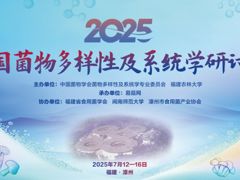 【温馨提示】暴雨过后,菌子正当时:研讨会迎来最佳考察时机