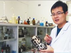 马银鹏潜心科研深耕黑木耳产业