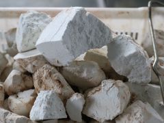 兴国大力发展林下茯苓产业