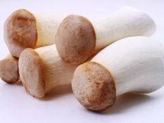 “南菇北移”,杏鲍菇在延边不仅“种得好”,而且“链得长”“走