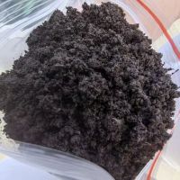 俄罗斯远东草炭土