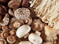 首茬草菇破土!凤城大坝菌香漫溢富农路