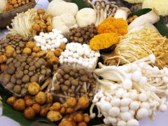 西安农业农村部门部署2025年秋季食用菌示范工作