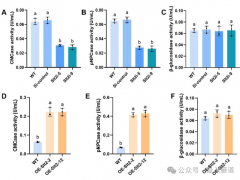 南京农业大学赵明文教授团队在微生物权威期刊mBio杂志上发表灵芝