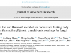 中国科学院微生物研究所赵瑞琳团队与福建农林大学谢宝贵团队合作