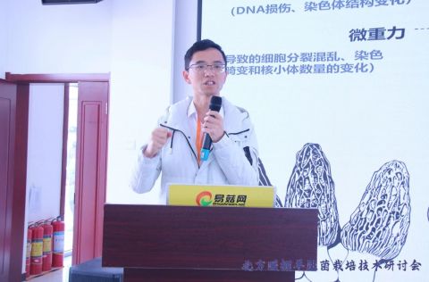 赵琪:航天七妹羊肚菌栽培探讨及暖棚案例