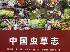 《中国虫草志》：中国虫草真菌有了完整“家谱”