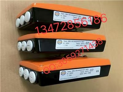 原装正品德国依博罗EBRO支耳式涡轮蝶阀Z014-A图4